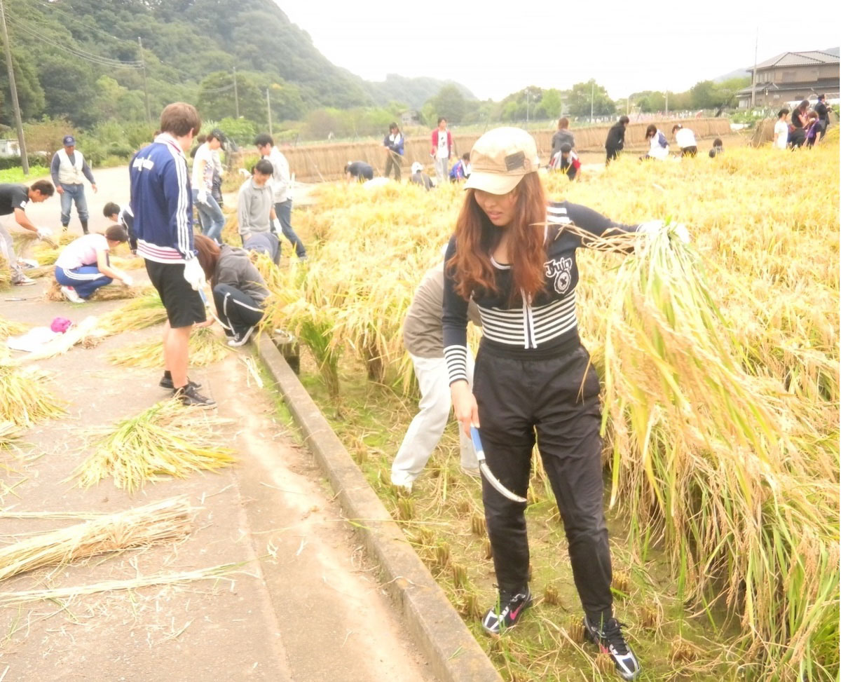 相模川自然の村で農業体験プロジェクト