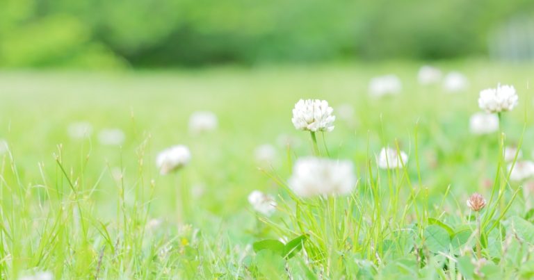 濱中淳子 早稲田大学 教育・総合科学学術院 教育学科
